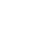 Trailer Park Tourist