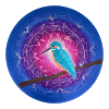 Mystical Kingfisher with Mandala