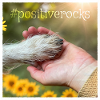 Positiverocks - Statement zum positiven Training