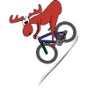 Moose MTB Downhill