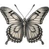 Schmetterling