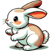 Rabbit
