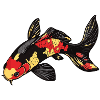 Beautiful Koi