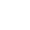 Cave Bear