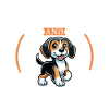 Café et Kerry Beagle