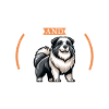 Coffee and Karakatshan