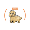 Café et Komondor