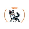 Coffee and Koolie