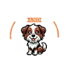 Café et Kromfohrländer