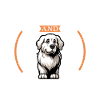 Coffee and Kuvasz