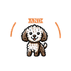 Coffee and Lagotto Romagnolo