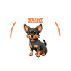 Coffee and Lancashire Heeler