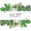 Bride Green Palm Leaves