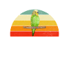 Budgie Gift