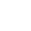 Busfahrer Substantiv