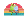 Budgie Gift