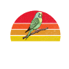 Budgie Gift