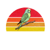 Budgie Gift