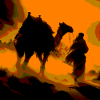 Wild Desert