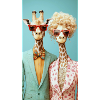 Giraffenpaar