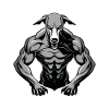 Greyhound Dog Muscles Bodybuilding