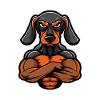 Dachshund Dog Muscles Bodybuilding Dachshund