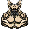 French Bulldog Dog Muscles Bodybuilding