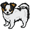 Dog Drawing
