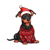 Doberman Dog Christmas Comic