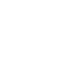 Pirate Skull