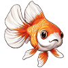 Voiltail Goldfish Cadeau Super