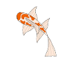 Koi