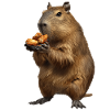 Capybara