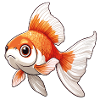 Voiltail Goldfish Cadeau Super