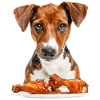 Chien