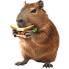 Capybara