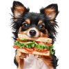 Chien
