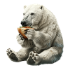 Polar bear