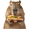 Capybara