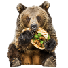 Grizzly bear