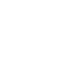 Fly
