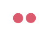 Fly
