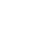 Fly
