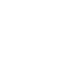 Fly