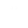 Fly