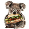 Koala