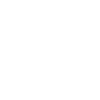 Fly