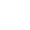 Mouche