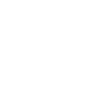Fly