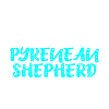 Pyrenean Shepherd Pyrenäenschäferhund